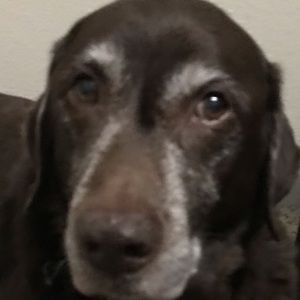 Meet your Posher, Zoe